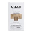 NOAH, farba do włosów, 8.0 Light Blond, 140 ml