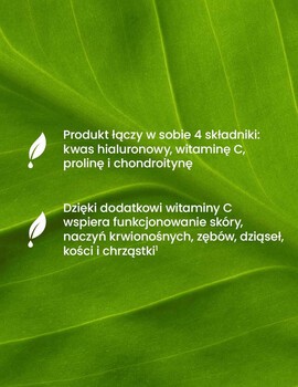 Essensey Kwas Hialuronowy+, kapsułki, 90 szt.