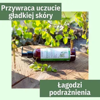Sylveco, balsam brzozowy z betuliną, 300 ml