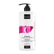 Vis Plantis Professional, szampon do włosów zniszczonych i osłabionych z ceramidami, 1000 ml