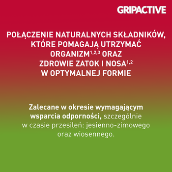 Gripactive Zatoki i Nos, proszek w saszetkach, 6 szt.