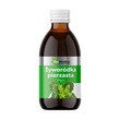 EkaMedica Żyworódka pierzasta, płyn, 250 ml