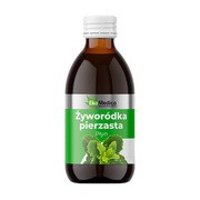 EkaMedica Żyworódka pierzasta, płyn, 250 ml