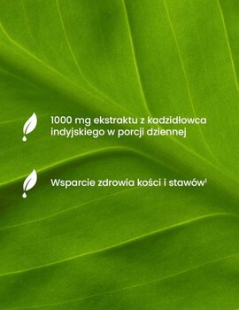 Essensey Boswellia Serrata, kapsułki, 90 szt.