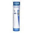 Boiron Bryonia, 9 CH, granulki, 4 g