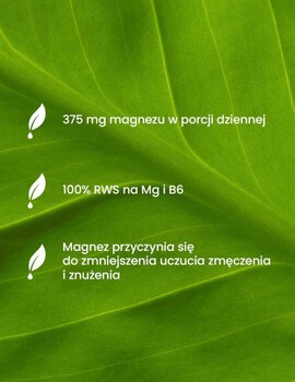 Essensey Magnez + B6, Na zmęczenie, kapsułki, 90 szt.