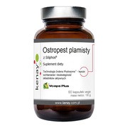 Kenay Ostropest plamisty z Siliphos, kapsułki, 60 szt.