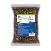 BłonniX Vital, proszek, 300 g (torebka)