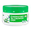 Virde, żel żywokostowy z jałowcem i MSM, 350 g