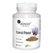 Aliness Czarci Pazur 500 mg, kapsułki, 100 szt.