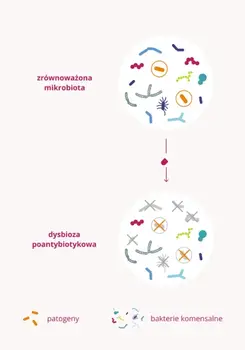 Omni Biotic 10 AAD, saszetki z proszkiem, 5 g x 10 szt.