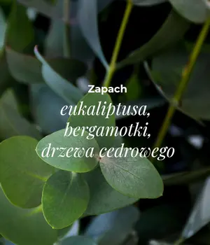 Veoli Botanica Salic Hero Body, żel oczyszczająco-złuszczający do mycia ciała, 280 ml