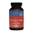 Chaga 100% 500 mg, kapsułki, 100 szt.