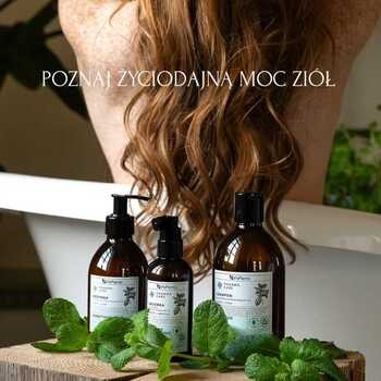 Vis Plantis Pharma Care, szampon do włosów przetłuszczających się, mięta + cynk, 500 ml