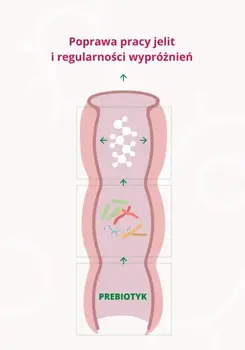 Omni Logic Immune, proszek, 450 g