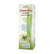 Gorvita, Żyworódka w płynie, 115 ml