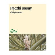 Pączki sosny, zioło pojedyncze, 50 g (Flos)