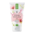 Lirene Dermoprogram Power of Plants Róża, kojący żel myjący, 150 ml