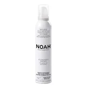 NOAH Modelling mousse, modelująca pianka do włosów z olejem migdałowym, 250 ml