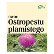 Flos, owoc ostropestu plamistego, 100 g
