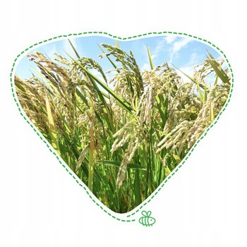 BoboVita, kleik ryżowy, kaszka, 4 m+, 160 g