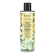 Vis Plantis Secret Garden, aminokwasowy tonik do twarzy, 200 ml