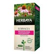 Herbaya Echinacea Prawidłowa Odporność, kapsułki, 60 szt.