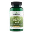 Swanson Full Spectrum Plantain Leaf, kapsułki, 60 szt.
