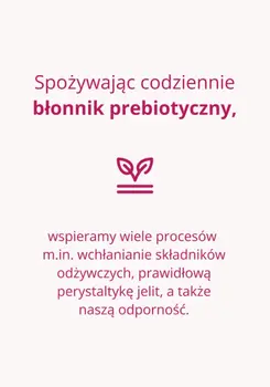 Omni Logic Fibre, proszek, 250 g