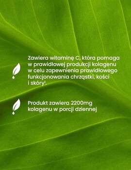 Essensey Kolagen Rybi Forte 2200 mg, kapsułki, 120 szt.