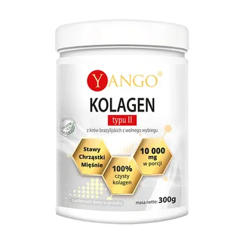 Kolagen typu II, proszek, 300 g
