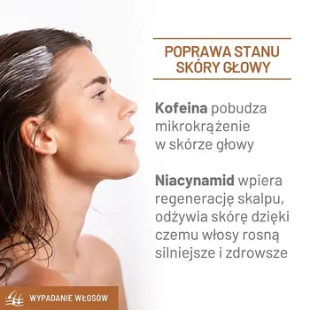 Sylveco Dermo Wypadanie Włosów, maska do skóry głowy i włosów, 300 ml