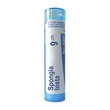 Boiron Spongia tosta, 9CH, granulki, 4 g