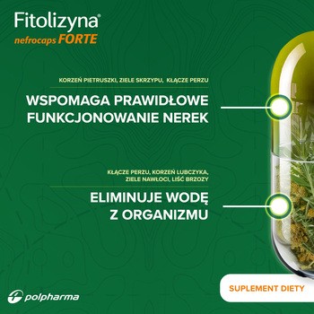 Fitolizyna nefrocaps FORTE, kapsułki, 60 szt.