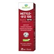Naturell Metylo-B12 100, spray, 25 ml