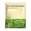 Ziele pięciornika gęsiego, zioło pojedyncze, 50 g (Flos)