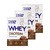 Zestaw 3 x ALE Whey Protein Chocolate Flavor, proszek, 30 g