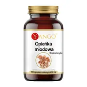Opieńka miodowa, kapsułki, 90 szt.