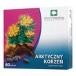 Arktyczny korzeń, tabletki, 60 szt.