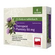 Ostropest plamisty, tabletki, 30 szt.