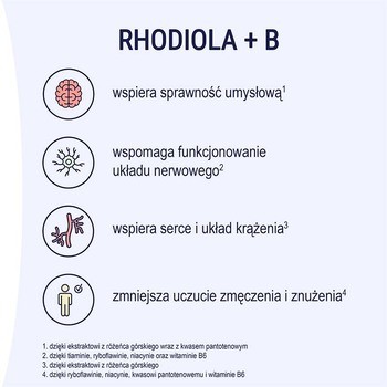 Naturell Rhodiola + B, tabletki, 60 szt.