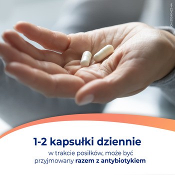 Dicoflor 6, kapsułki, 10 szt.