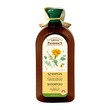 Green Pharmacy, szampon z nagietkiem lekarskim, włosy normalne i przetłuszczające się, 350 ml