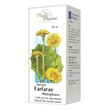 Succus Farfarae (Sok z podbiału), płyn doustny, 100 ml