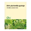 Ziele pięciornika gęsiego, zioło pojedyncze, 50 g (Flos)