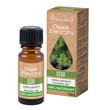 Vera Nord, olejek eteryczny, cedr, 10 ml
