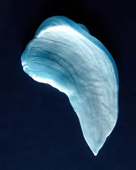 Nivea Men Fresh Kick, odświeżający żel do golenia, 200 ml