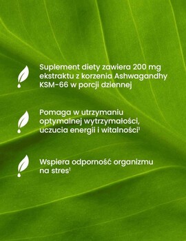 Essensey Ashwagandha Exclusive KSM-66, kapsułki, 90 szt.