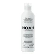NOAH, odżywka ułatwiająca rozczesywanie z mango i proteinami ryżowymi, 250 ml