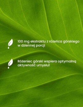 Essensey Różeniec Górski, kapsułki, 90 szt.